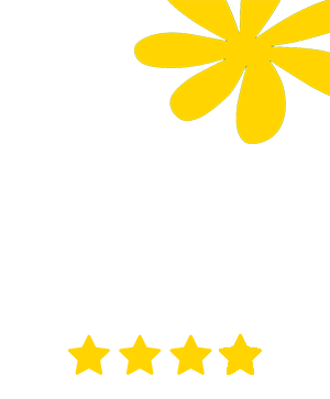 camping les dunes vendee